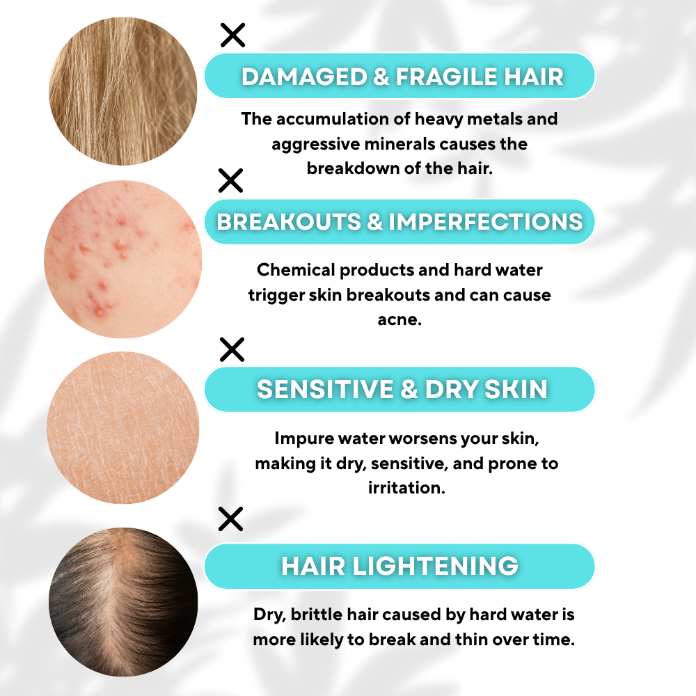 Brush & Exfoliator Add-ons